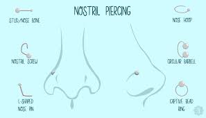 7 Popular Types Of Nose Piercings Their Corresponding