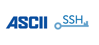 add custom ascii banner logo to your