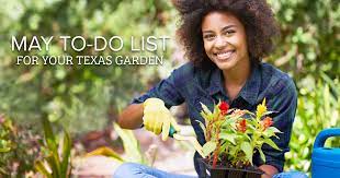 May To Do List For Your Texas Garden
