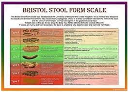 Bristol Stool Scale Laminated Health Chart A4 Health