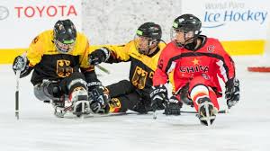 National hockey league american hockey league canadian hockey league. Vybbadogvlzpfm