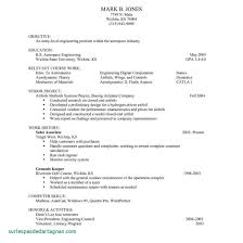 Resume For Undergraduate Student Professional Resume Samples For