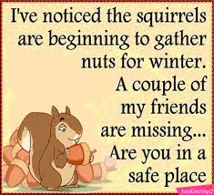 Squirrel Gathering Nuts. Free National Nut Day eCards, Greetings | 123  Greetings