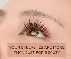 eyelashes are more than just for beauty