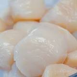 Which scallops are best?