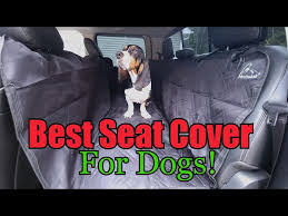 Best Seatcover For Your Dog Or Hound