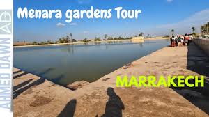 menara gardens tour marrakech s most