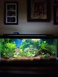 Will Adding A 2nd Fluval Led Plant Light To This Tank Cause Problems With Too Much Light Aquariums