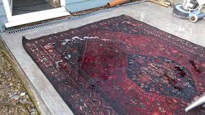 cleaning a flood damaged persian rug by