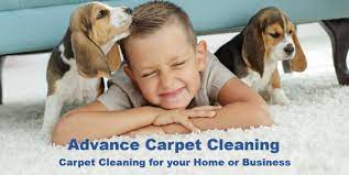 highlands ranch carpet cleaning