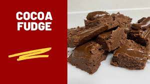 delicious chocolate cocoa powder fudge