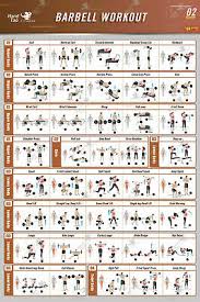 Yoga Sun Salutation Chart Poster 24x36 Exercise Fitness