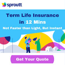 Fegli provides group term life insurance. Whole Vs Term Life Insurance Options Reliable Cover