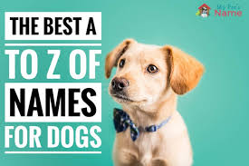 500 dog names the best a to z of