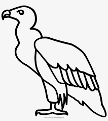 Make a coloring book with vulture coloring page for one click. Vulture Coloring Page Ultra Vulture Line Icon Transparent Png 1000x1000 Free Download On Nicepng