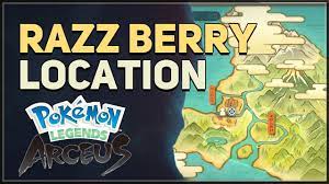 Razz Berry Location Pokemon Legends Arceus - YouTube