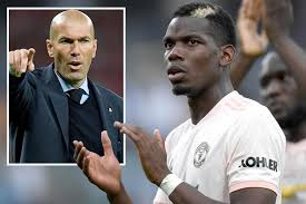 Image result for zidane and pogba