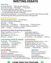 Image result for opinion essay examples free 