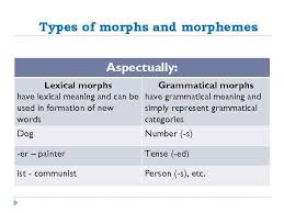 What that has meaning by themselves like boy, food , door are called lexical morphemes. Morphology As A Part Of Grammar Lecture 2