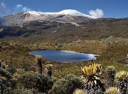 Resultado de imagen para region andina