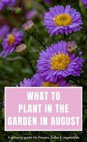 Gardening Calendar What To Plant In