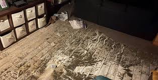 Pro Tips For Basement Clean Up