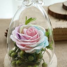 Glass Cloche Dome Bell Jar With Rose