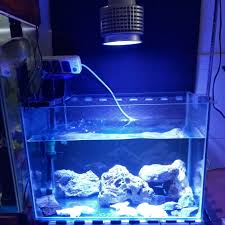 50w Led Aquarium Lighting Marine Reef Light Grow Bulb For Fish Coral Sps Lps Plant Nano Tank Lightings Aliexpress