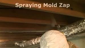 how to remove basment ceiling mold wmv
