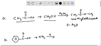 write a balanced chemical equation for