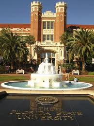 Florida state university admissions essay