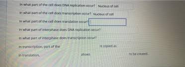 Section 12 2 chromosones and dna replication 3d cross sections 8 section pie chart animal. At What Stage Of Meiosis Does Dna Replication Take Place Quizlet