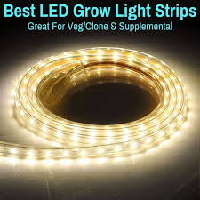 Led Grow Light Strips Best For Veg Clone Supplemental Grow Light Info