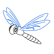 dragonfly drawing tutorial how to