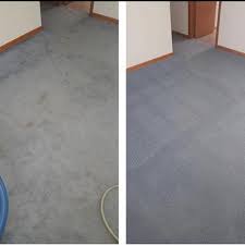 carpet cleaning near annandale mn
