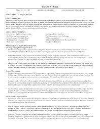 Resume Career Objectives  Professional Gray How To Write A Career    