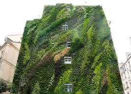 Green Walls Create A Breathing Garden