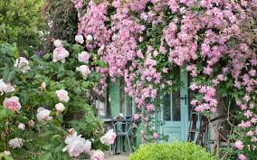 Check spelling or type a new query. How To Plant Climbers A Beginner S Guide To Planting Clematis Roses And More The Telegraph