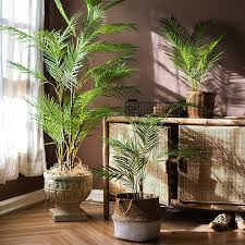 125cm tropical palm plants large