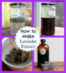 how to make lavender extract only 3