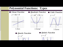 A Polynomial Function From The Graph
