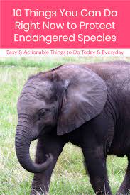 protect endangered species