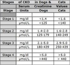 Stages In Chronic Kidney Disease In Dogs Cats Dog Health