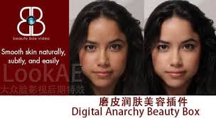 美容插件digital anarchy beauty box