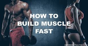 how to build muscle fast the 15 step