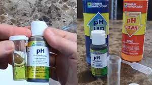how to test the ph for hydroponics