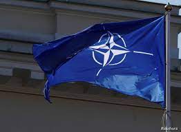 We did not find results for: Factbox A Look At Nato Voice Of America English