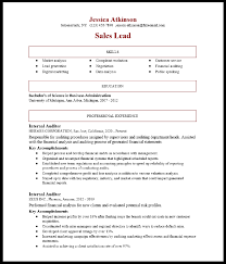 internal auditor resume sample
