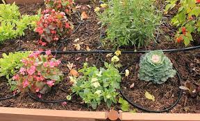 How To Maintain A Raised Garden Bed