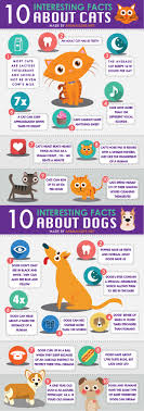 Cat and dog lovers unite! Top 10 Interesting Facts About Cats And Dogs Animals Life Donate Support